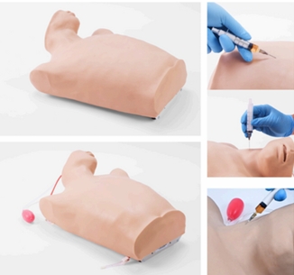 Central Venous Puncture & Catheterization Model