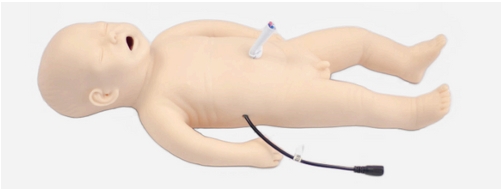 Neonate Airway Management Manikin