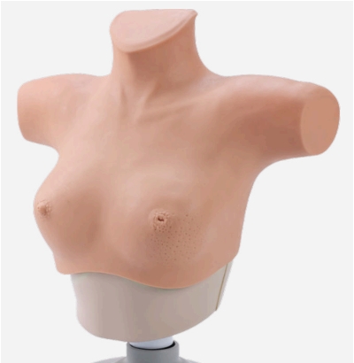 Breast Cancer Palpation and Visual Diagnosis Training Model
