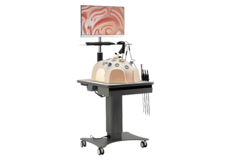 Panckoo Minima ly Invasive Training System