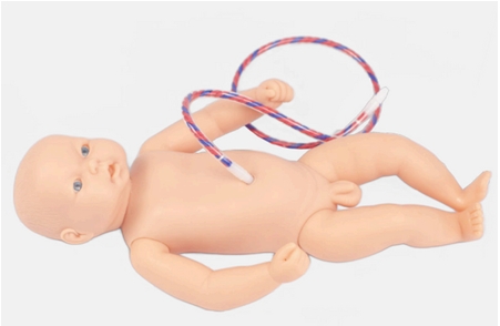 Neonate Umbi Care Manikin