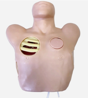 Chest Drain & Needle Decompression Trainer