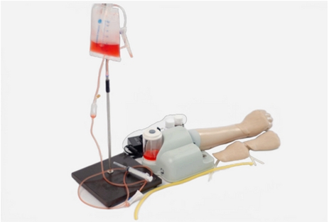 Dorsal Metacarpal Intravenous Infusion Model