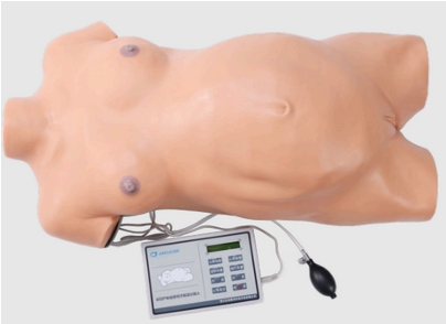 Diagnostic Curettage Training Model